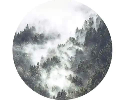 Zertifiziert Glasbild Mystic Forest V Ø 20 cm